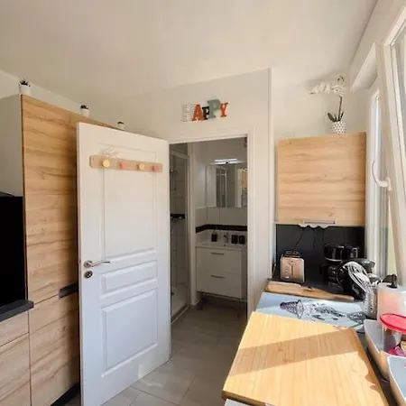 Le Cocon, Studio De 30M2 Avec Jardin Et Parking Privatifs Pres De Paris Et Disney Fontenay-sous-Bois Exterior photo